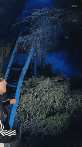 Barn Countryside GIF by Rodriw Castel