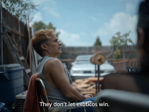 They Don't Let ExΓ³ticos Win