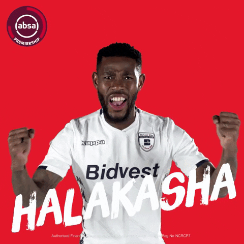 south african soccer GIF