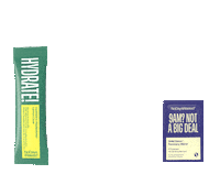 Holiday Hangover Sticker by No Days Wasted