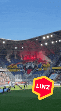 Soccer Bundesliga GIF by Linz News