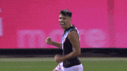 Aussie Rules Celebration GIF by Port Adelaide FC