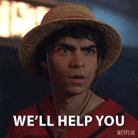 One Piece Weve Got Your Back GIF by NETFLIX