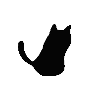 Black Cat Sticker