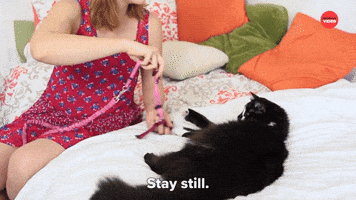 Stay Still