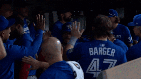 Blue Jays Baseball GIF by Toronto Blue Jays