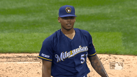 Major League Baseball Sport GIF by MLB