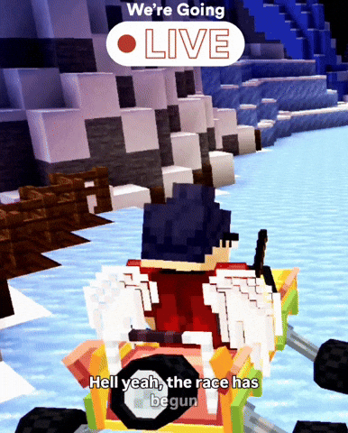 Driving Video Game GIF