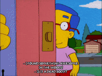 bart simpson millhouse van houten GIF