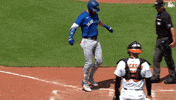 Blue Jays Baseball GIF by Toronto Blue Jays