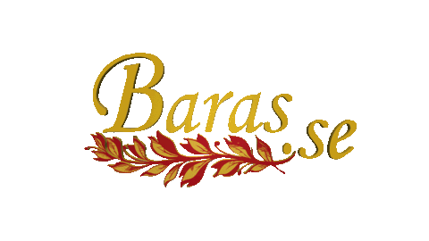 Barasse giphyupload baras barasse Sticker