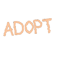 Cat Adopt Sticker