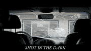 Shot In The Dark Movie GIF by Raven Banner Entertainment