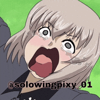 Girls Und Panzer Erika GIF