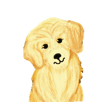 Golden Retriever Dog Sticker