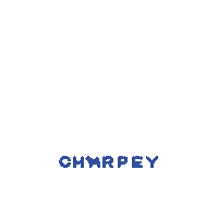 Futebol Copa Sticker by Charpey