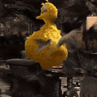 Sesame Street Bird GIF by Bell Brothers