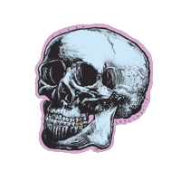 skull pdr Sticker