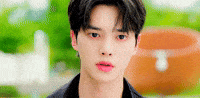 Song Kang GIF