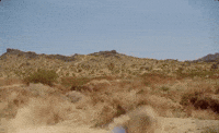 Hitch Hike Manchild GIF by Sabrina Carpenter