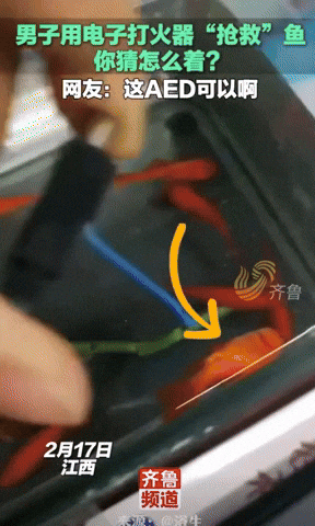 58d4b6a0e8004dd6a499524384e88c9f giphyupload GIF