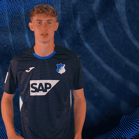 Sport Bundesliga GIF by TSG Hoffenheim