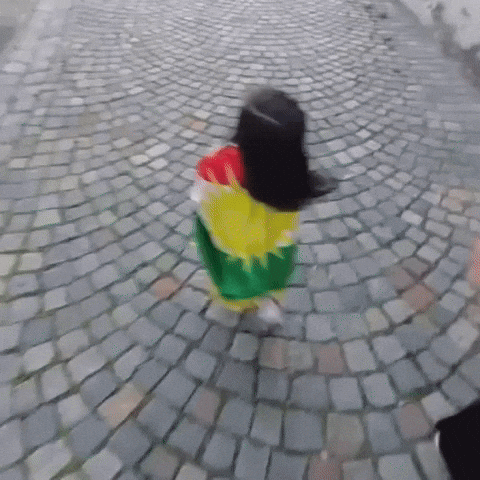 Flag Al GIF