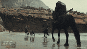 Planet Of The Apes GIF by 20th Century Studios