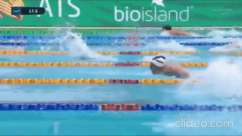 skillsnt giphyupload GIF