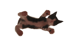 mood STICKER