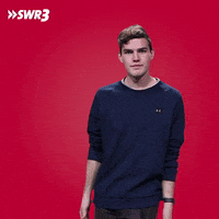 Oh Yeah Yes GIF by SWR3