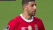 Sl Benfica Slbgif GIF by Sport Lisboa e Benfica