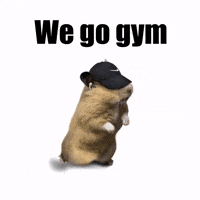 Workout Gym GIF