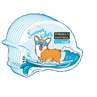 Pets Dogfood Sticker by Pet Nutri