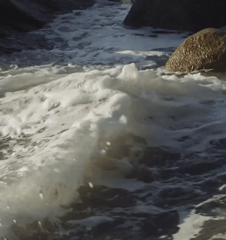 juliaidamaria giphygifmaker GIF