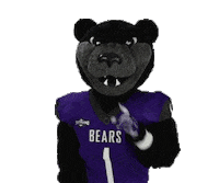 bearclawsup bearcountry Sticker by University of Central Arkansas