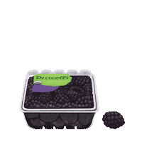 health vegan Sticker by DriscollsBerry