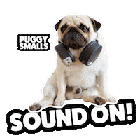 thepuggysmalls cute up sound pug Sticker