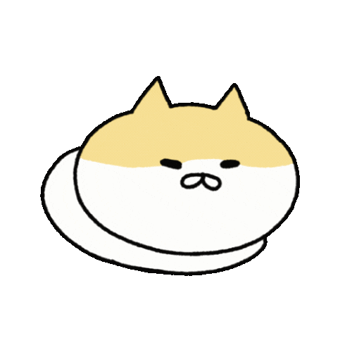 Study Funny Cat Sticker