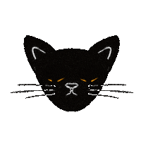 Black Cat Sticker