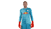 Save Number One Sticker by RB Leipzig