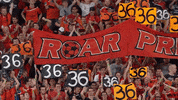 brisbaneroar football celebration orange fans GIF