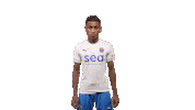 Singapore Premier League Goal Sticker by Lion City Sailors