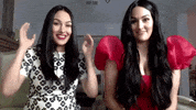 Nova Bella Twins GIF by Smallzy