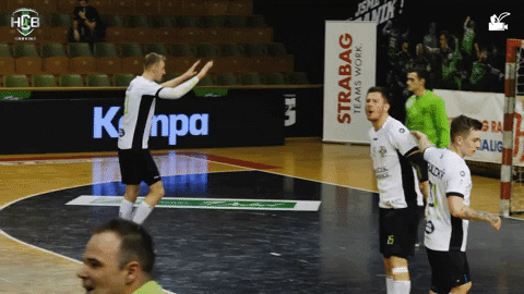 Czech Republic Handball GIF by HCB Karviná