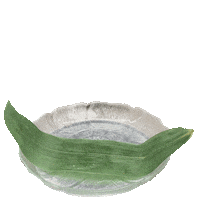 spring roll bar Sticker by Major Food Group