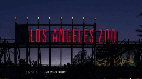 GIF by Los Angeles Zoo and Botanical Gardens