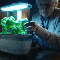 Like A Boss Cooking GIF by Bosch
