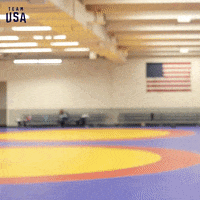 GIF by Team USA