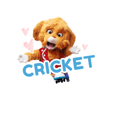 Dogs Cricket Sticker by Visinema Pictures